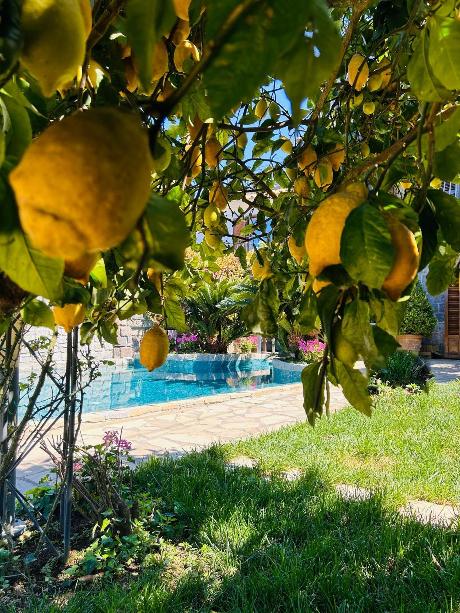 Maison Villa Angela SantʼAgata sui Due Golfi Eksteriør bilde