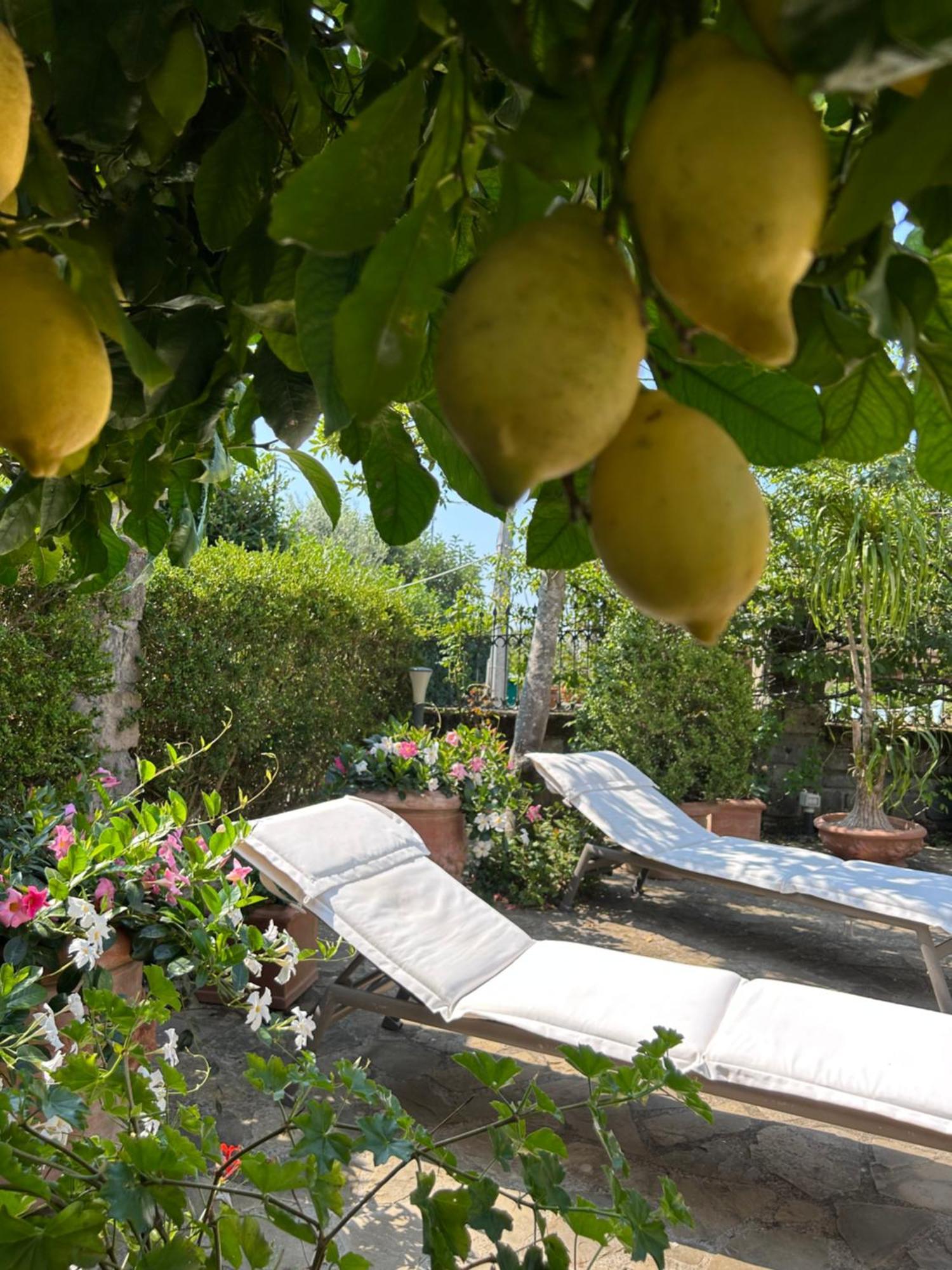 Maison Villa Angela SantʼAgata sui Due Golfi Eksteriør bilde